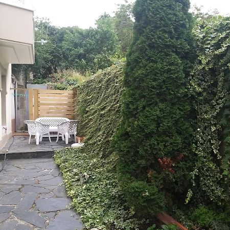 Apartamento Con Pequeno Jardin En El Centro Ferrol Zewnętrze zdjęcie